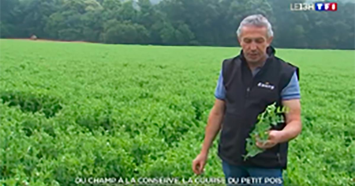 Agence Belle Nouvelle ! Capture d'écran télé d'un reportage TF1 pour D'Aucy présentant un homme dans un champs