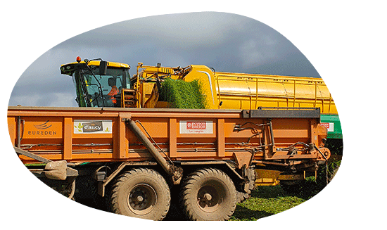 Agence Belle Nouvelle ! Photo détourée d'un camion de récolte